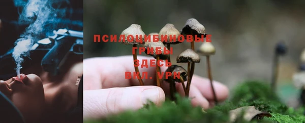 PSILOCYBIN Балахна